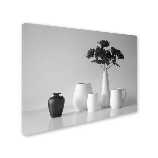 Jacqueline Hammer 'Still Life In Black And White' Canvas Art,14x19